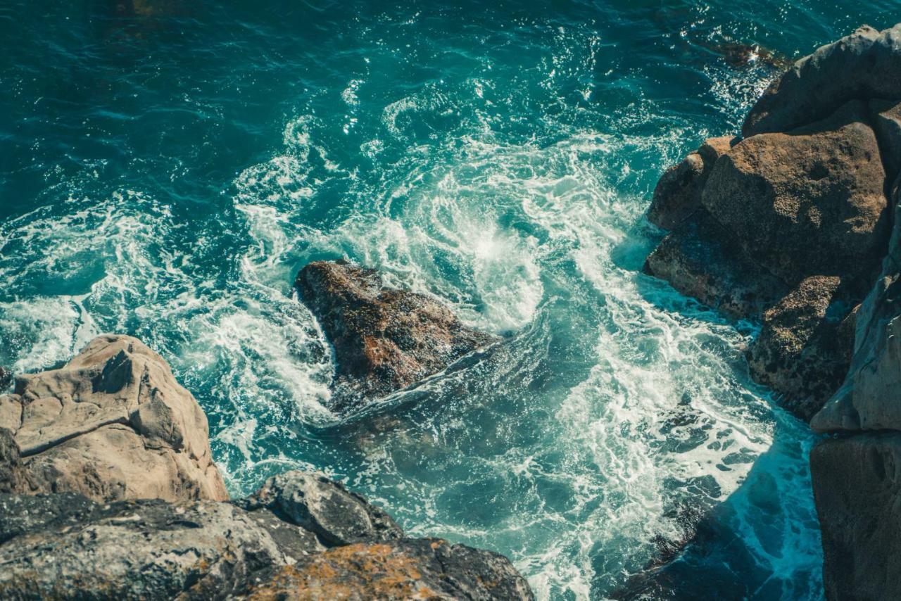 Ocean Eleven 5 Lägenhet Mount Maunganui Exteriör bild